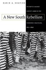 A New South Rebellion af Karin A. Shapiro