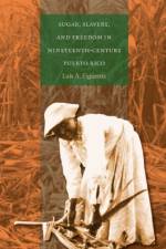Sugar, Slavery, and Freedom in Nineteenth-Century Puerto Rico af Luis A. Figueroa