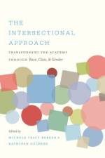 The Intersectional Approach