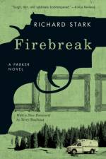 Firebreak af Richard Stark