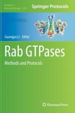 Rab GTPases