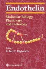 Endothelin