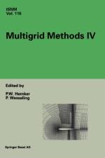 Multigrid Methods IV