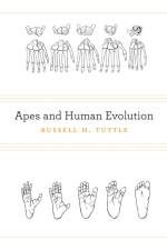 Apes and Human Evolution af Russell H. Tuttle