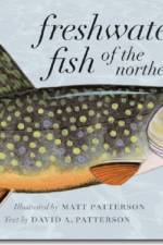 Freshwater Fish of the Northeast