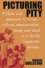 Picturing Pity af Marianne Gullestad