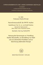 Nutzung Der Kernenergie Zur Veredlung Fossiler Brennstoffe, Zur Herstellung Von Stahl Und Von Chemischen Produkten Und Zur Gewinnung Elektrischer Energie af Rudolf Schulten