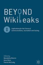 Beyond WikiLeaks
