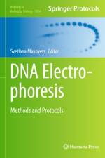 DNA Electrophoresis