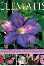 Clematis af Andrew Mikolajski