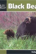 Black Bears af Kathy Feeney