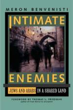 Intimate Enemies af Meron Benvenisti