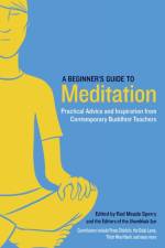 A Beginner's Guide to Meditation af Rod Meade Sperry