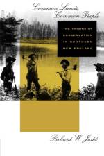 Common Lands, Common People af Richard W. Judd