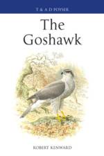 The Goshawk af Professor Robert Kenward