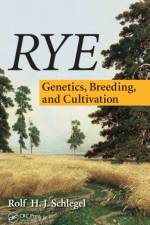 Rye af Rolf H. J. (Director Schlegel