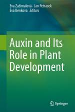 Auxin and Its Role in Plant Development