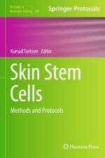 Skin Stem Cells