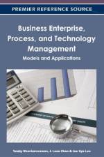 Business Enterprise, Process, and Technology Management