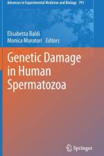Genetic Damage in Human Spermatozoa