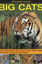 Exploring Nature: Big Cats af Rhonda Klevansky