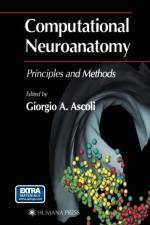 Computational Neuroanatomy