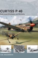 Curtiss P-40 af Carl Molesworth