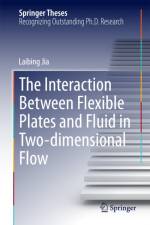 Interaction Between Flexible Plates and Fluid in Two-dimensional Flow af Laibing Jia