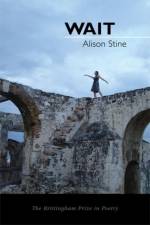 Wait af Alison Stine