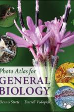 Photo Atlas for General Biology af Dennis Strete