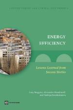 Energy Efficiency af Gary Stuggins