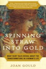 Spinning Straw into Gold af Joan Gould