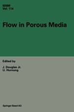 Flow in Porous Media