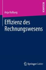 Effizienz Des Rechnungswesens af Anja Kolburg