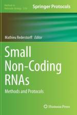 Small Non-Coding RNAs