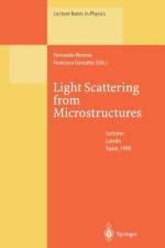Light Scattering from Microstructures