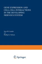 Gene Expression and Cell-Cell Interactions in the Developing Nervous System