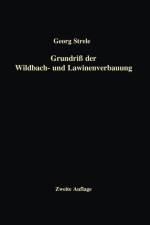 Grundriss Der Wildbach- Und Lawinenverbauung af Georg Strele