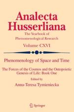 Phenomenology of Space and Time