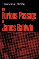 The Furious Passage of James Baldwin af Fern Marja Eckman