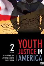 Youth Justice in America af Maryam Ahranjani