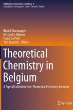 Theoretical Chemistry in Belgium