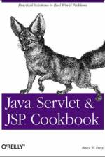 Java Servlet and JSP Cookbook af Bruce W Perry