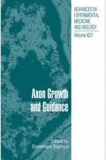 Axon Growth and Guidance