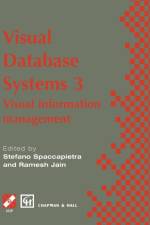 Visual Database Systems 3