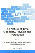 Nature of Time: Geometry, Physics and Perception