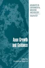 Axon Growth and Guidance