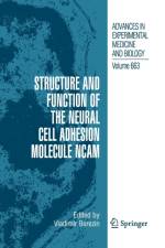 Structure and Function of the Neural Cell Adhesion Molecule NCAM
