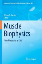 Muscle Biophysics