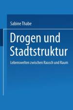 Drogen Und Stadtstruktur af Sabine Thabe